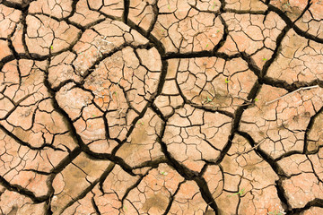 Dried up lake bed due to lack of rain showing dry cracked earth, Kenya, East Africa