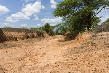 A dry dusty river bed due to lack of rain, Kajiado County, Kenya, East Africa