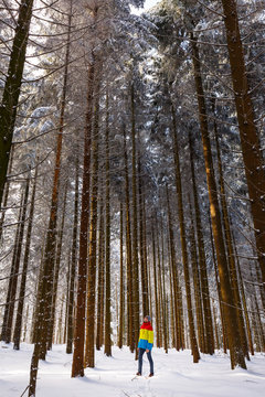 Schneewalzer - Premium-Wanderweg, Albstadt, Baden-W¸rttemberg, Germany: A single man in the snowy forest admiring nature.
