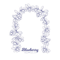 Blueberry. Element for design. Good for product label. Graphic drawing, engraving style. Colored vector illustration
