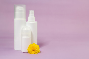 Obraz na płótnie Canvas Face skin care products. Organic cosmetics for women