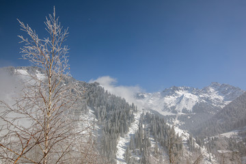 Allphotokz Medeu 20110316 2137 5DM2