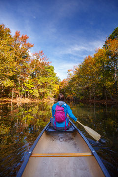 A woman canoeing on the still waters of a freshwater pond along the Discovery Trail during a sunny autumn afternoon at the Nags Head Woods Preserve.