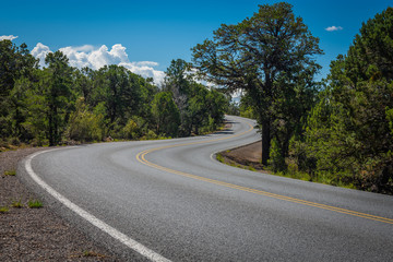Fototapeta na wymiar road next to the rim of the Grand Canyon National Park, Arizona, USA. During a sunny summer day