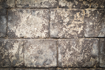 textura de una pared de ladrillos grandes con musgo