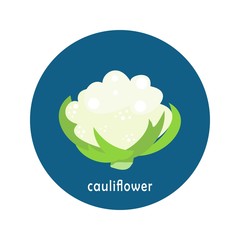 Vector cauliflower icon isolated on white background.  Flat blue circle icon with vegetable. Healthy food. 