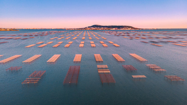 Le parc &agrave; hu&icirc;tres de Bouzigues vu par un drone au coucher du soleil avec la ville de S&egrave;te