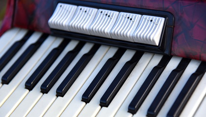 Tastatur eines Akkordeons mit Registern 