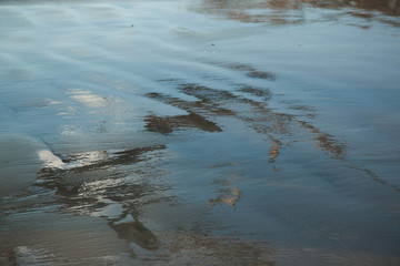 Reflection of tree in ocean water