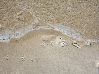 Footprints in sand. Close up.