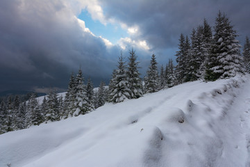 Fototapeta premium A bright winter in the Ukrainian Carpathian Mountains with snow-capped mountain peaks and picturesque meadows with mountain lodges and hikers.