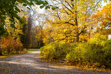 Beautiful view of Mustion Linna park in autumn, Finland