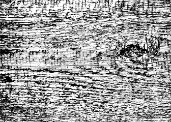 Old wood black and white texture. Vector background image