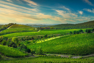 Fototapeta na wymiar Gaiole in Chianti vineyards and panorama at sunset. Tuscany, Italy