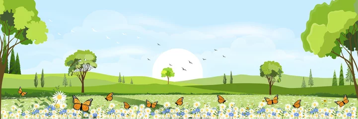Fototapeten Cartoon panorama of natural Spring field with butterfly flying over daisy flowers,Beautiful scene of countryside in Sunny day summer,Flat cartoon style background for Easter banner,Vector illustration © Anchalee