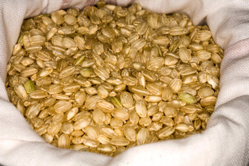 Rice is a cereal considered one of the basic foods.