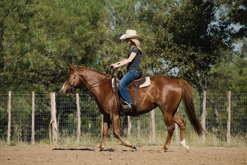 Western lifestyle horseback riding shows cowgirl on quarter horse in outdoor arena.