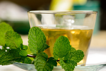 mint tea in transparent cup with sprig of mint beside