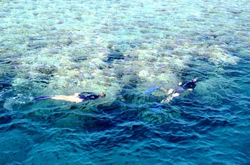 Snorkeling en Mer Rouge au large de Hurghada (Égypte)