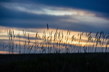 Evening Sky