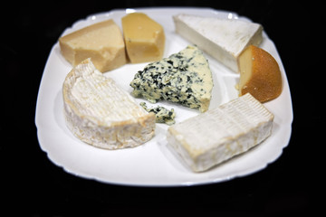 Pate with different kinds of delicious cheese on dark background.Camembert brie gorgonzola roquefort, blue cheese.Dairy products industry/Pieces of different types of cheese on white plate