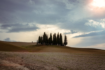 Obraz premium Val d'Orcia - Tuscany landscape with cypress