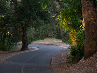 Obraz premium American River Parkway bike trail lit up
