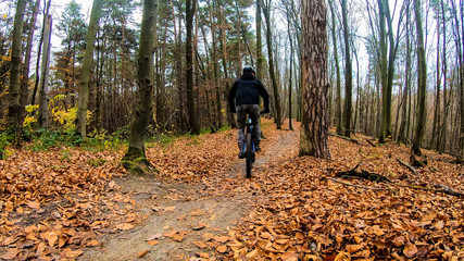 Fototapeta na wymiar Amateur rider on the bicycle in the autumn park