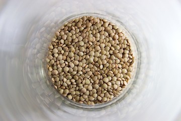 Top down view brown and green dried lentils legume inside a glass mason jar. Out of focus foreground