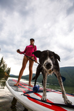 A woman and her dog Shilo on an inflateable SUP baord at Upper Priest Lake in north Idaho.