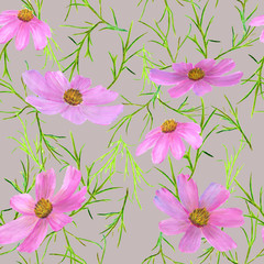 Seamless pattern of summer pink flowers Cósmos. Watercolor hand drawn illustrations isolated on a pink  background. 