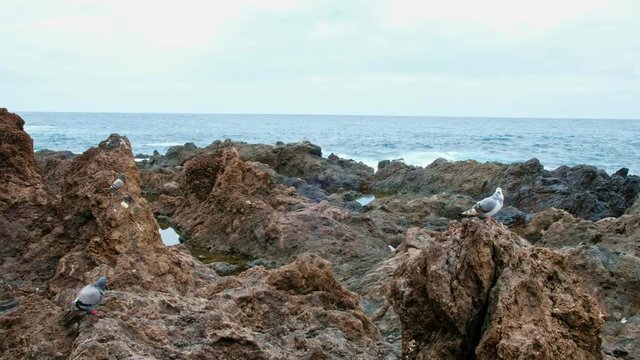 Punta Brava der kleine Ort an der Atlantikk&uuml;ste. Die Einwohner haben, ihre H&auml;user direkt an der Steilk&uuml;ste und in den Atlantik hineingebaut. Schroffe Felsen, Vulkangestein, Riffs und Steilk&uuml;ste zeichn