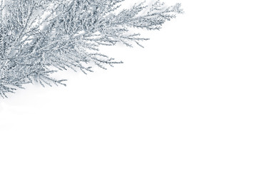 Obraz premium Silver Christmas decoration. Tree branch in a corner. Christmas, New year decorative element