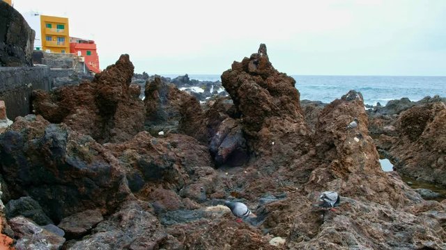 Punta Brava der kleine Ort an der Atlantikk&uuml;ste. Die Einwohner haben, ihre H&auml;user direkt an der Steilk&uuml;ste und in den Atlantik hineingebaut. Schroffe Felsen, Vulkangestein, Riffs und Steilk&uuml;ste zeichn
