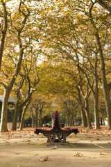 fountain in the park