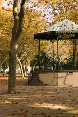 bench in the park autumn