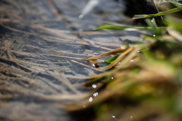 Fototapeta premium small river