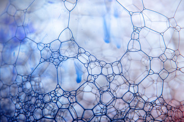 Two color soap bubble foam structure, molecule biological cell pattern. Neon fluid with dense foam...