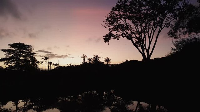 Sunrise at Parque del Este. Caracas, Venezuela.