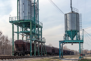 loading grain into the wagons at the elevator