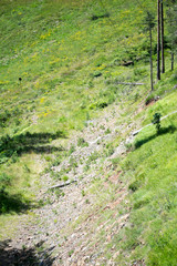 slope on the mountain at zlatibor serbia