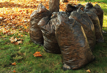 Plastic bags for cleaning leaves on the streets. Plastic clogging the environment. Ecology of living space.