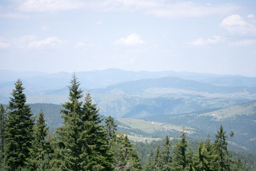 view of mountains in zlatibor area in serbia