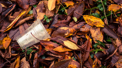 Plastic cup lying on leaves