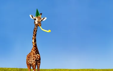 Schilderijen op glas Giraffe blowing birthday whistle over blue sky © Sergey Novikov