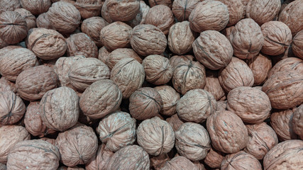 A lot of walnuts close-up. Texture
