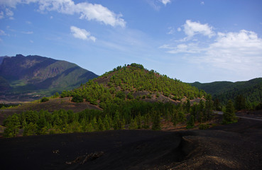 Volcanic top full of pine trees