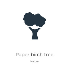 Paper birch tree icon vector. Trendy flat paper birch tree icon from nature collection isolated on white background. Vector illustration can be used for web and mobile graphic design, logo, eps10