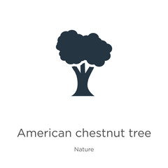 American chestnut tree icon vector. Trendy flat american chestnut tree icon from nature collection isolated on white background. Vector illustration can be used for web and mobile graphic design,
