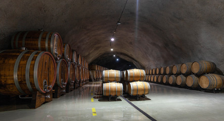 barrels in wine cellar